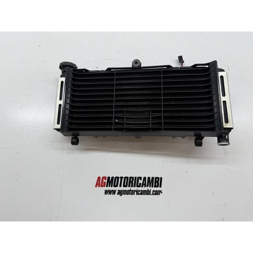 Radiatore honda hornet - hornet, 600