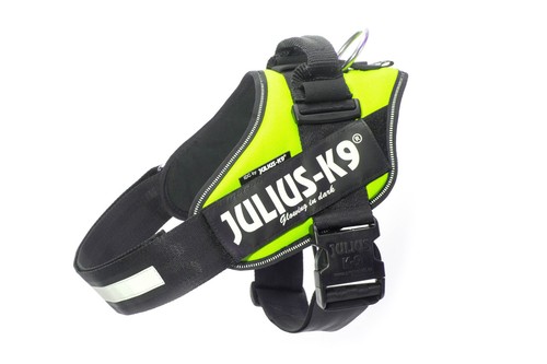 Julius 16idc ne 2 - julius-k9,, 16idc-ne-2