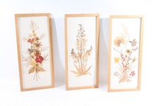 3 X Vecchio Cornici 41,8cm x