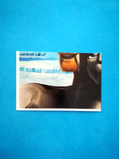 FIGURINA L'ERA GLACIALE