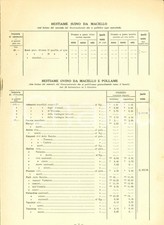 1935 CONSIGLIO ECONOMIA Listino prezzi all'ingrosso alimentari prodotti chimici