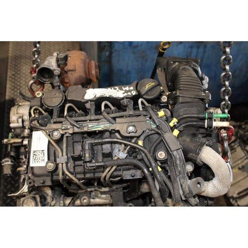 Motore compl g8da ford focus - g8da,