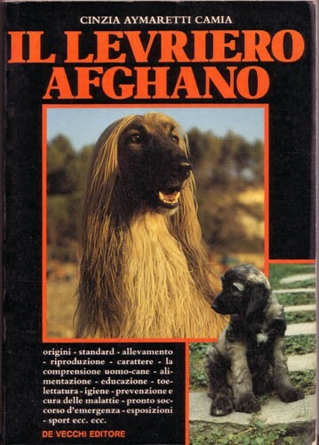 Levriero afghano cinzia - il,