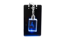 Deutsch Drahthaar, Portachiavi