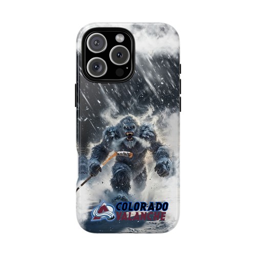 Colorado avalanche custodia - colorado,