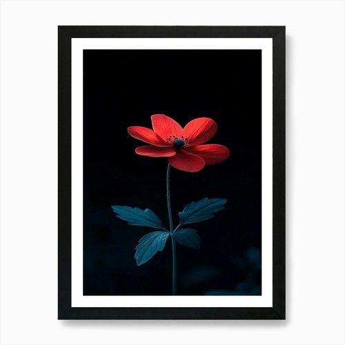 Quadro stampa arte fiore - arte,