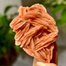 Grappolo di Mica 21G Naturale Bellissimo con Cristallo di Quarzo Esemplare Minerale