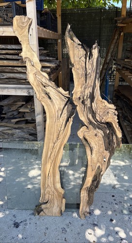 Coppia tavole legno di - di,