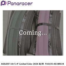 Panaracer AGILEST pneumatico