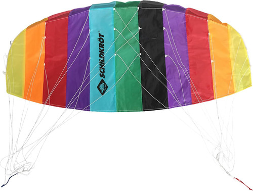 Dual line sport kite 3 - line,
