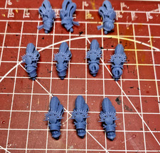 Teste Cavalieri Sole