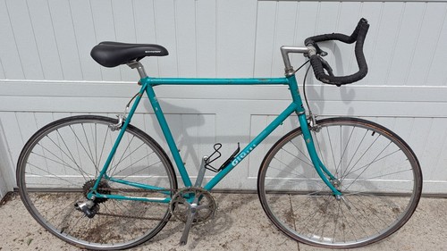 Vintage giant perigee - perigee, road