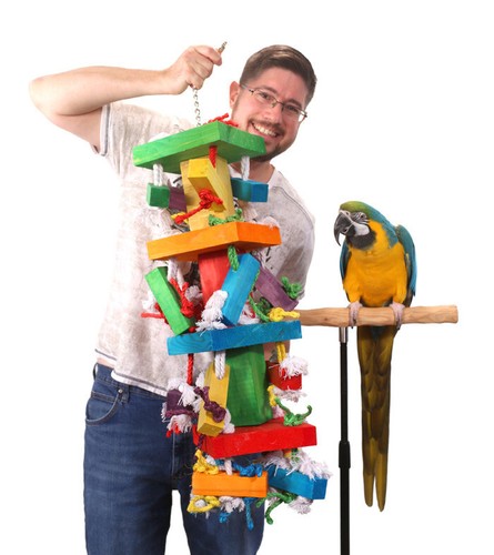 Tropical stack xxl - tropical, parrot