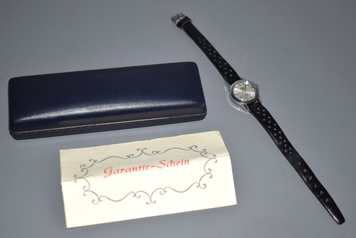 Vintage roamer anfibio - anfibio, piccolo