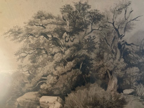 Disegno xix 1850 inchiostro - 1850,