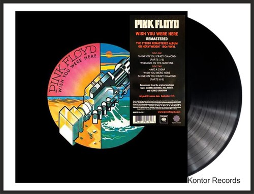 Pink floyd wish you were - "wish,