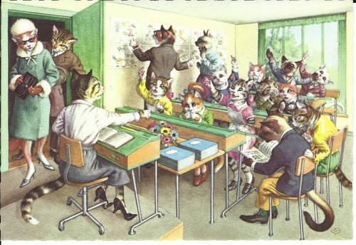 Gatti umanizzati scuola - scuola, in