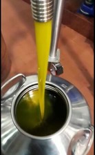 Olio extravergine di oliva 5