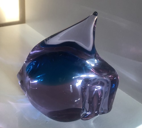 Pesce livio seguso con firma - firma, a
