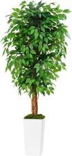 Albero di ficus artificiale 6