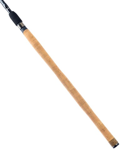 Daiwa theory speci canna - -, da