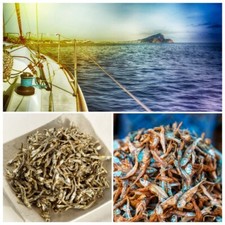 Pesce secco acciughe essiccate