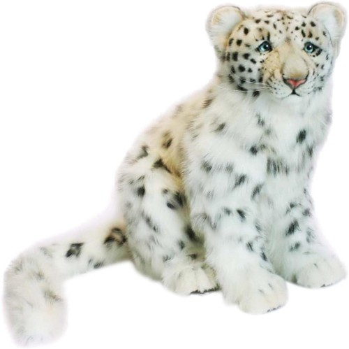 Hansa snow leopard cub bh4355 - cub,