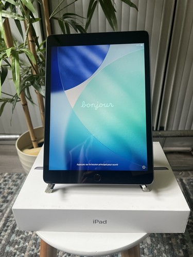 Apple ipad generazione 64 - apple,