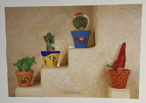 Ann geddes cactus - ann, "cactus