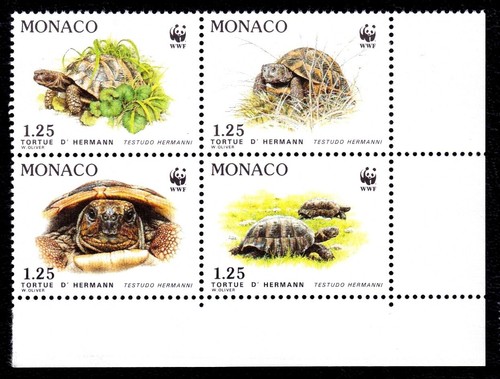 Monaco 1991 testudo - monaco,