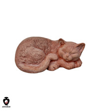 Gatto addormentato gattino in