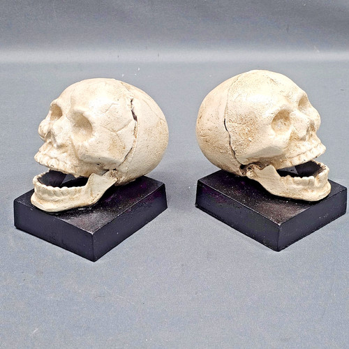 Coppia fermalibri teschio - coppia,