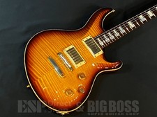 Chitarra elettrica ESP