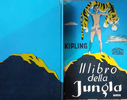 Libro della jungla - libro,