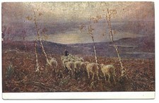 ANTICA CARTOLINA: TOMINETTI, IL LAGO MAGGIORE