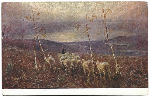 Antica cartolina tominetti - antica,