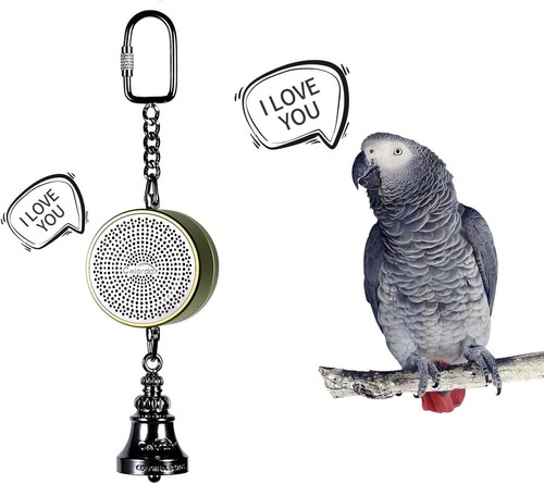 Bird toys pappagallo - bird,