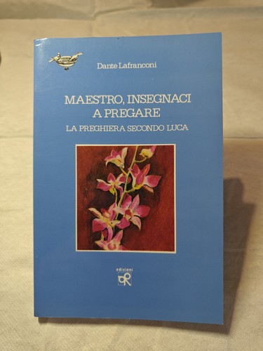 Maestro insegnaci pregare - maestro,