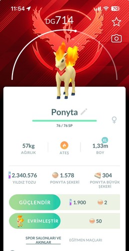 Ponyta candela squadra - candela,
