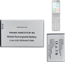 Batteria Di Ricambio Amico