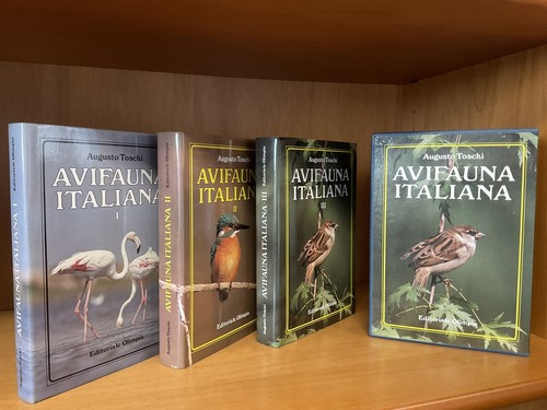Rarissimo cofanetto libri - rarissimo, da