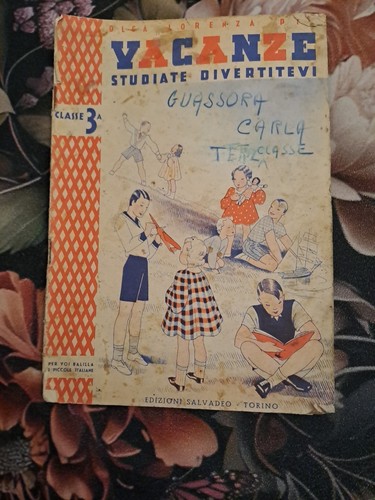 Vacanze studiate divertitevi - vacanze,