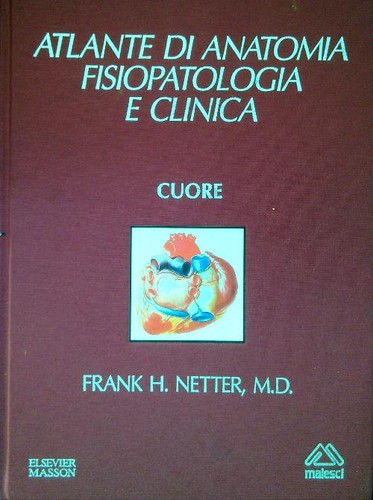 Atlante anatomia - atlante,