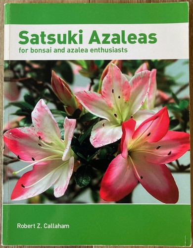 Satsuki azaleas for - satsuki, bonsai