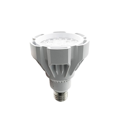 Lampadina led par30 - lampadina,