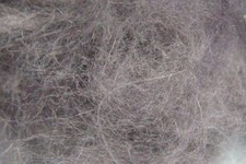Doppiaggio coniglio angora - coniglio,