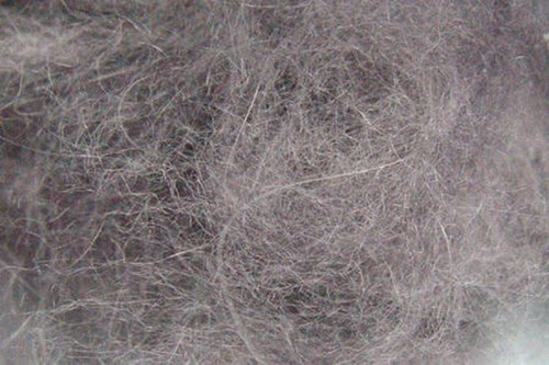 Doppiaggio coniglio angora - coniglio,