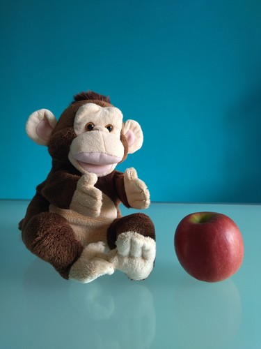 Trudi peluche marionetta - "trudi",