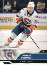 2019-20 Upper Deck UD AHL -