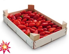 Vassoi grandi impilabili - 6,